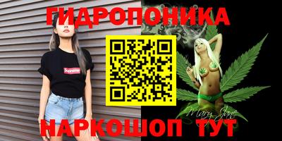 скорость Лесосибирск